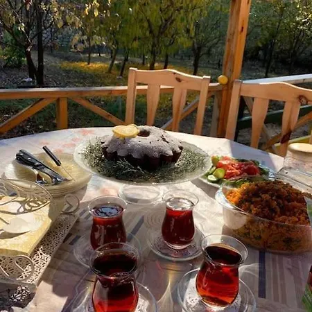 Villa Gökçe Mountain 2 *